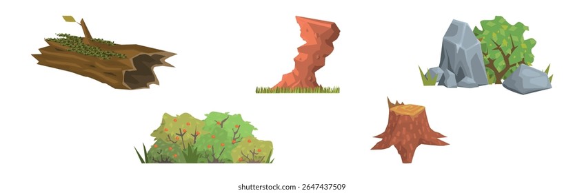 Forest Nature and Woodland Outdoor Element Vector Set