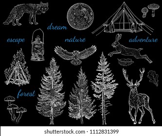 Forest night adventure: glamping tent, bonfire, camping lamp, full moon, spruce, fir tree, mushrooms, fox, hare, deer, owl. Hand drawn vintage engraving style vector illustration white on black.