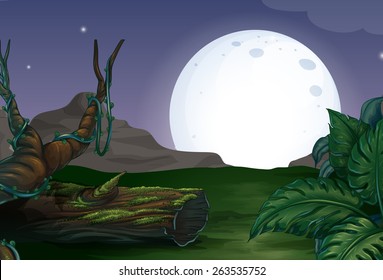 Forest at night with fullmoon background