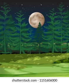 A forest at night illustration