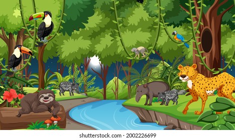 Forest at night landscape scene with different wild animals illustration