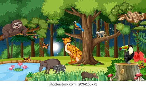 Forest at night landscape scene with different wild animals illustration
