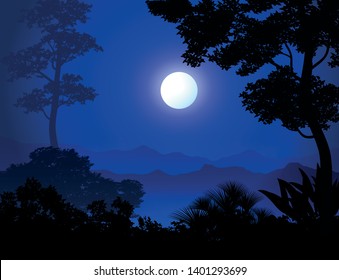 forest night landscape vector illustration