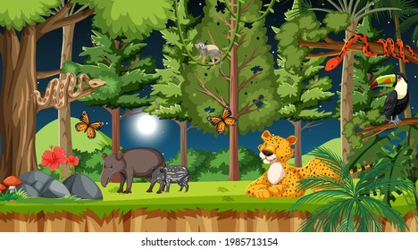 Forest at night scene with different wild animals illustration