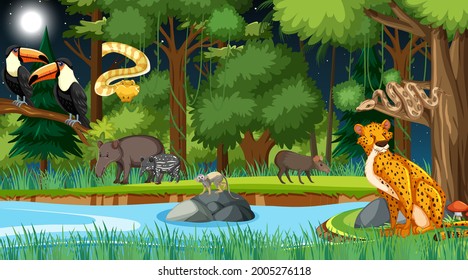 Forest at night scene with different wild animals illustration