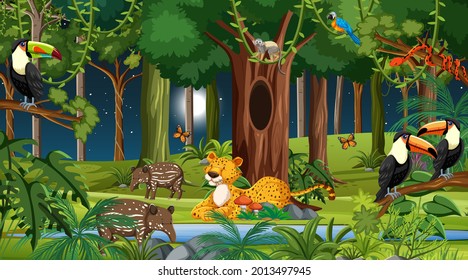 Forest at night scene with different wild animals illustration
