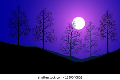 forest night scene vector landscape
