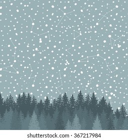 Forest and Night sky with stars vector background. Space backdrop.