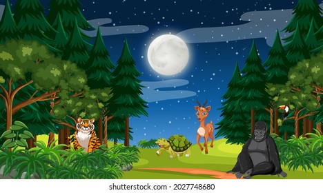 Forest at night time scene with different wild animals illustration