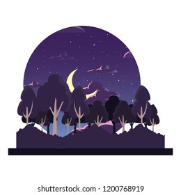 forest night trees moon natural landscape