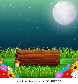 Forest at night and wood with fullmoon