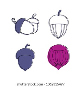 Forest nut icon set. Color outline set of forest nut vector icons for web design isolated on white background