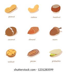 Forest nut icons set. Isometric set of 9 forest nut vector icons for web isolated on white background