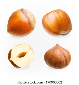 Forest nuts hazelnuts isolated on white background.