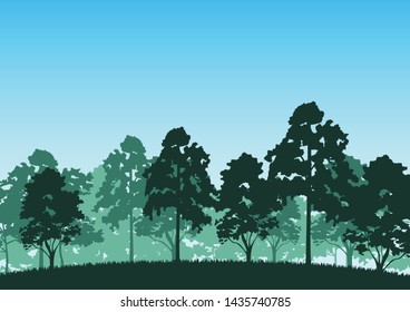 Forest on lawn background,Forest and sky landscape