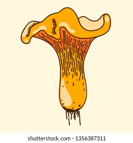 Forest orange chanterelle mushroom