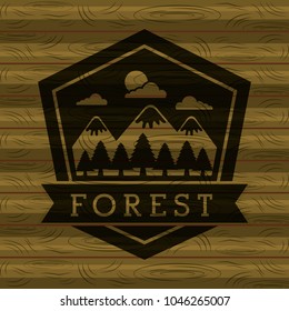 forest outdoor camp