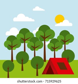 forest outdoor camp tent tree sky sun