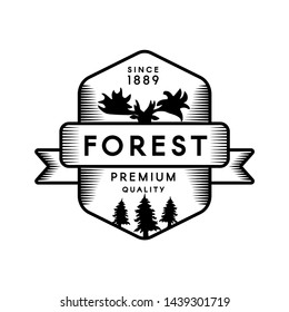 Forest outline vector logo template. Recreational park symbol. Fir trees and moose head silhouette