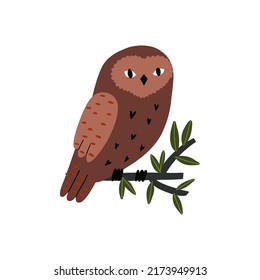 forest owl hand drawn in flat style. baby illustration