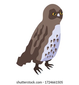 Forest owl icon. Isometric of forest owl vector icon for web design isolated on white background