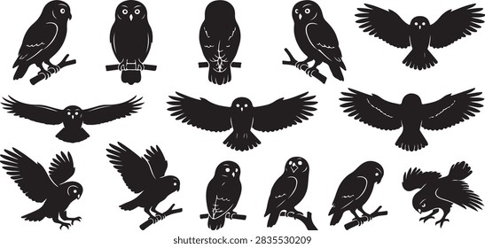 Forest owlet silhouette collection featuring endangered central Indian owls in perched, soaring, taking off, landing, branch-resting, and pouncing postures
