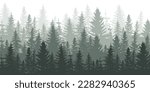 Forest panorama view. Pine tree landscape vector illustration.  Spruce silhouette. Banner background.