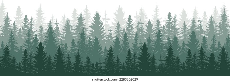 Forest panorama view. Pine tree landscape vector illustration.  Spruce silhouette. Banner background.