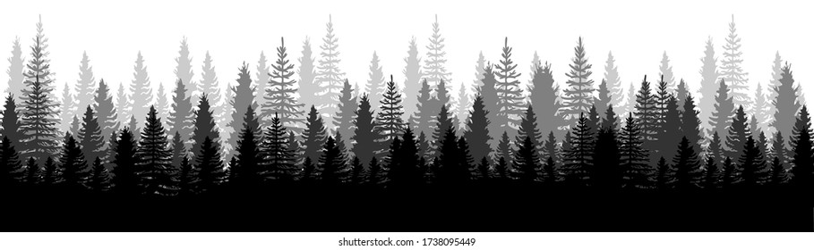 Forest Panorama view. Pines. Spruce nature landscape. Forest background. Set of Pine, Spruce and Christmas Tree on White background. Silhouette forest background. Vector illustration