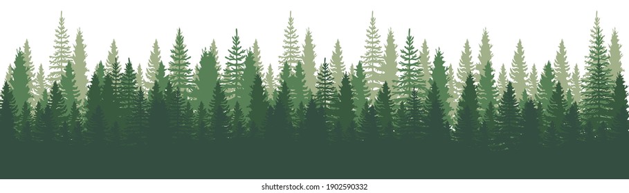 Forest Panorama view. Pines. Spruce nature landscape. Forest background. Set of Pine, Spruce and Christmas Tree on White background. Silhouette forest background. Vector illustration