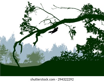Forest panoramic landscape with silhouettes of trees and bird