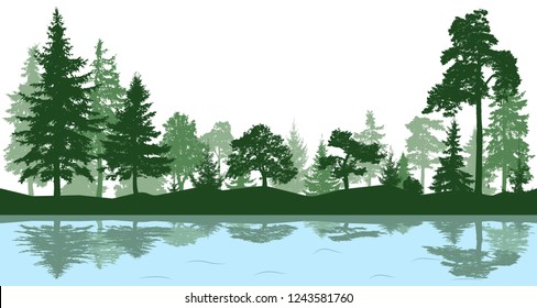 Forest, park, alley. Landscape of isolated trees. Reflection of trees in the water. Silhouette vector