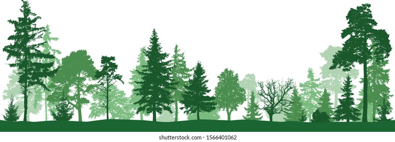 Forest, park. Silhouette vector. Landscape of isolated trees