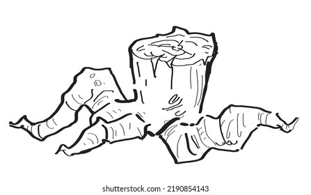 Forest or park tree stump, which is hand drawn (doodle style) vector drawing.