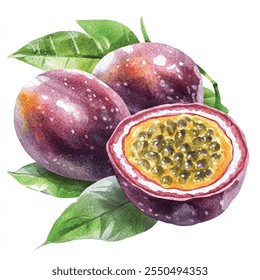 Forest passion fruit watercolor clipart illustration