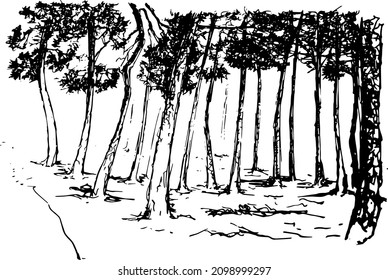 Waldweg, schwarz-weiße Landschaftsskizze, Vektorgrafik
