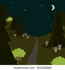 forest path with mushrooms and berries under the starry sky