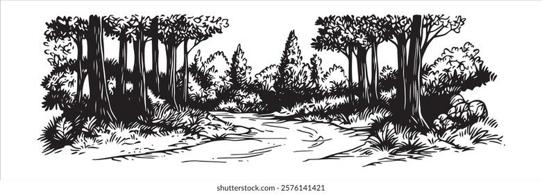 forest path with trees and rocks in black and white hand-drawn style