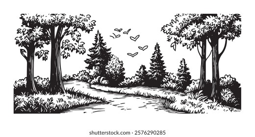 forest pathway with trees and birds hand-drawn black and white illustration