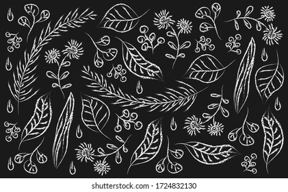 Forest pattern with acorns and autumn leaves. Fall background. Design Vector wallpaper. black and white