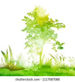 Forest. picturesque landscape with grass and tree