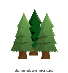 forest pine trees foliage natural trunk icon