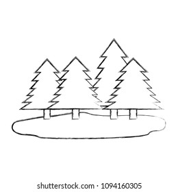 forest pines landscape scene