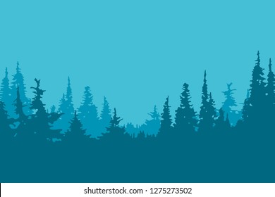
Forest, pines. Silhouettes of coniferous trees.