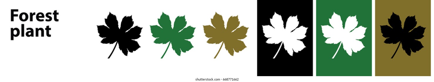 Forest plant  leaves vector different colors