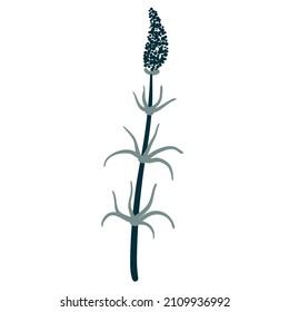 Forest plants in boho style. Ferns, horsetails, leaves, branches