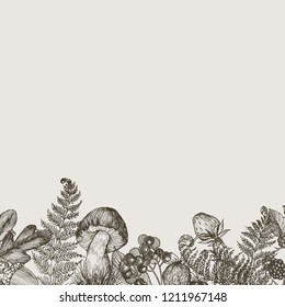 Forest plants border with mushrooms, fern, berries. High detailed hand drawn background. Vector design. Forest nature. Place for text