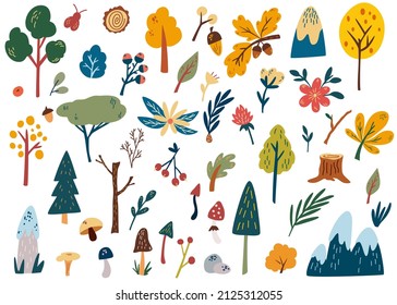 Forest plants clipart collection. Hand drawn woodland trees, herbs, mushrooms, flowers, branches, berries, leaves. Coniferous and deciduous.  Wild botanical set. Vector cartoon illustration.