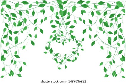 forest plants or green twigs of winding wild plants. romantic tropical style decoration design. vector illustration on a white background.