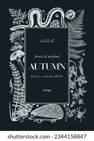 Forest plants hand-drawn design. Autumn vector illustration. Greeting card, invitation, brochure. Woodland animals frame. Vector illustration on chalkboard. Fall leaves, ferns, mushrooms sketch